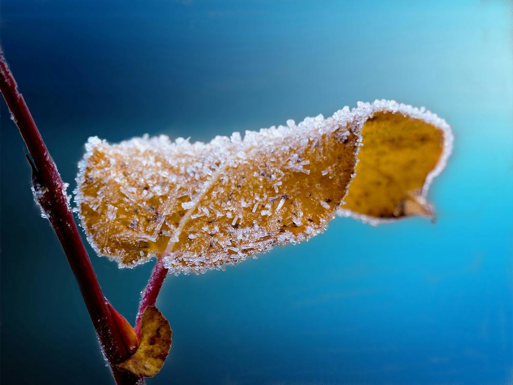 Foto von Pixabay via pexels